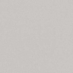 5035 Silver / Vaaleanharmaa