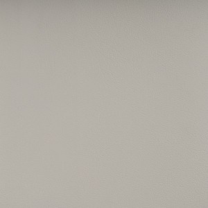 Nautilus Asparragus NAU-5001