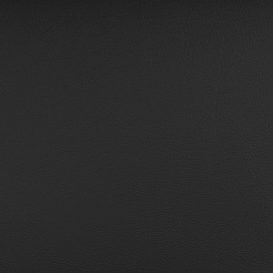 Nautilus Obsidian NAU-1003